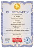 Свидетельство о публикации на международном образовательном портале МААМ "Песня для турслёта", 2017г.